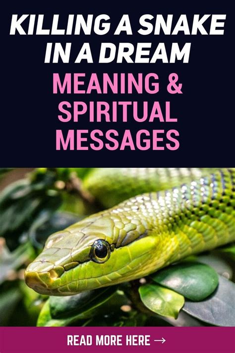 Transformation and Rebirth: Positive Meanings of Serpent Spitting