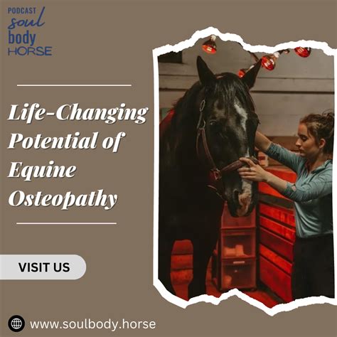 Transformative Visions: Uncovering the Life-Changing Potential of Equine Reveries