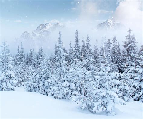 Transforming the World: How Snow Enhances Ordinary Landscapes in a Majestic Winter Setting