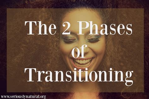 Transitioning into a New Phase: Exploring Adult Entertainment