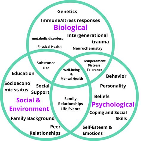 Treatment Approaches for Personality Disorders