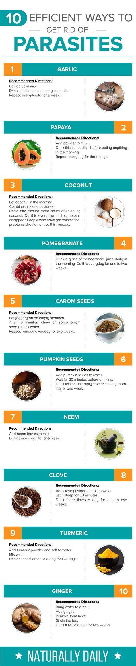 Treatment Options for Eradicating Parasites