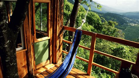 Treehouses: An Unconventional and Environmentally-Friendly Accommodation Choice