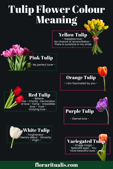 Tulips as Symbols of Love and Romance: Decoding the Language of Flowers