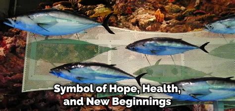 Tuna Fish as a Spiritual and Mythical Symbol