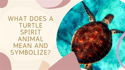 Turtle Totems: Exploring How Indigenous Cultures See Turtles as Spiritual Guides