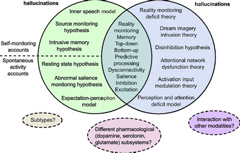 Types of Common Intrusions in Dreams