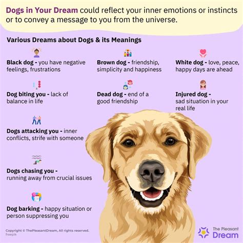 Types of Dog Dreams and Their Symbolism