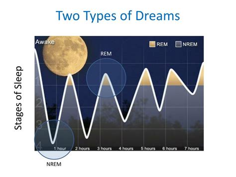 Types of Dreams Involving a Significant Individual: A Deeper Analysis