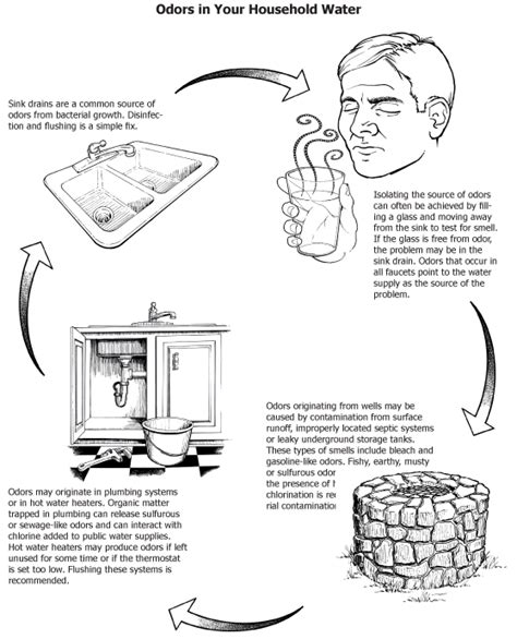 Types of Unpleasant Smells Found in Water