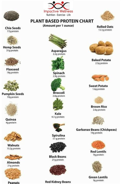 Ultimate Plant-Based Protein Sources to Enhance Your Salad