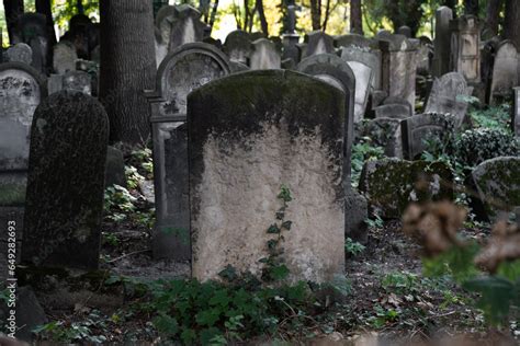 Uncover the Eerie Atmosphere of a Forgotten Burial Ground