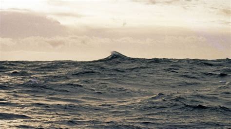 Uncover the Enigma of Rogue Waves