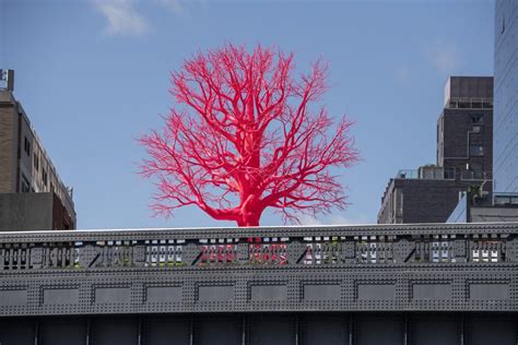 Uncover the Essence of the Captivating "Dream About New Tree" Art Installation