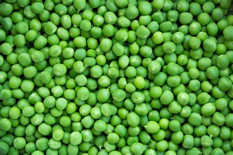 Uncover the Fascinating History of Earth Peas