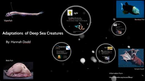 Uncover the Strange Adaptations of Deep-Sea Creatures