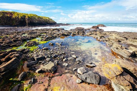 Uncovering Hidden Gems: Exploring the Fascinating World of Deserted Pools