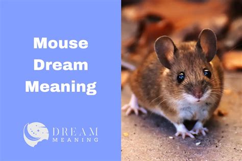 Uncovering Hidden Messages and Emotions: Exploring the Symbolism of Mouse Dreams