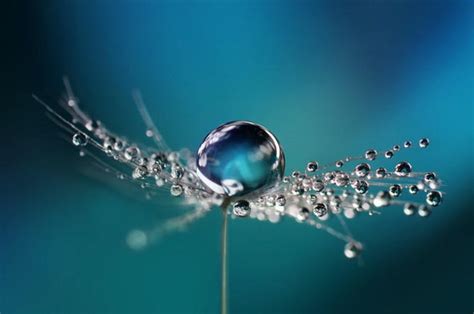 Uncovering the Beauty of Droplets: Exploring the Visual Appeal of Moist Grass