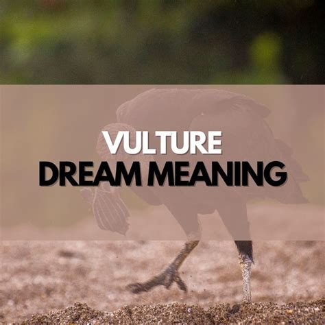 Uncovering the Deeper Messages and Warnings in Vulture Dreams