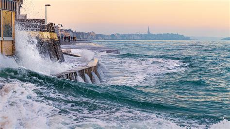 Uncovering the Enigmas of High Tide Sea Ecosystems