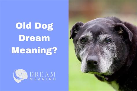 Uncovering the Hidden Significance of Canine Imagery in Dreams