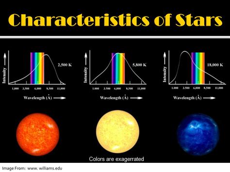 Uncovering the Physical Attributes of the Young Star