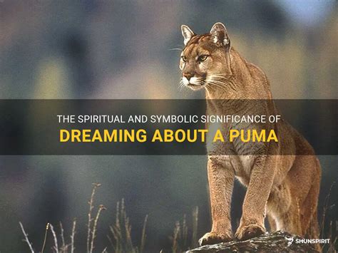 Uncovering the Possible Spiritual Significance of a Puma Encounter in Dreams