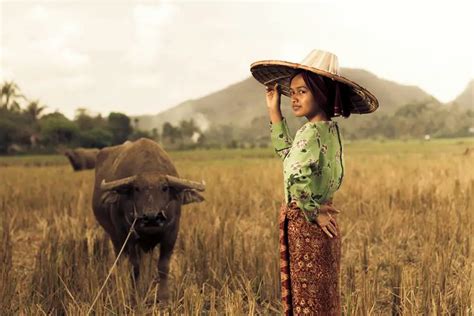 Uncovering the Symbolic Importance of the Enigmatic Carabao in Filipino Culture