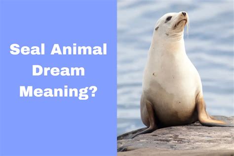 Uncovering the Symbolic Meaning Behind Animal Dreams