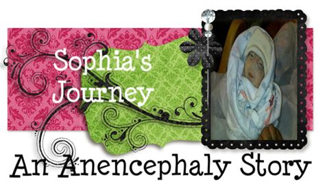 Understanding Amy Sophia's Journey