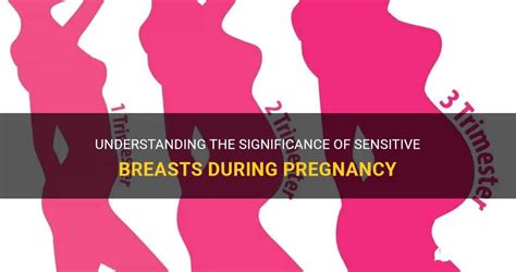 Understanding Breast Sensitivity: Decoding Its Significance