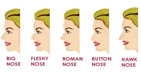 Understanding Different Nose Shapes: Discovering the Perfect Fit for Your Facial Structure