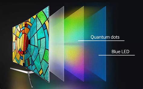 Understanding Display Technologies: OLED vs. QLED