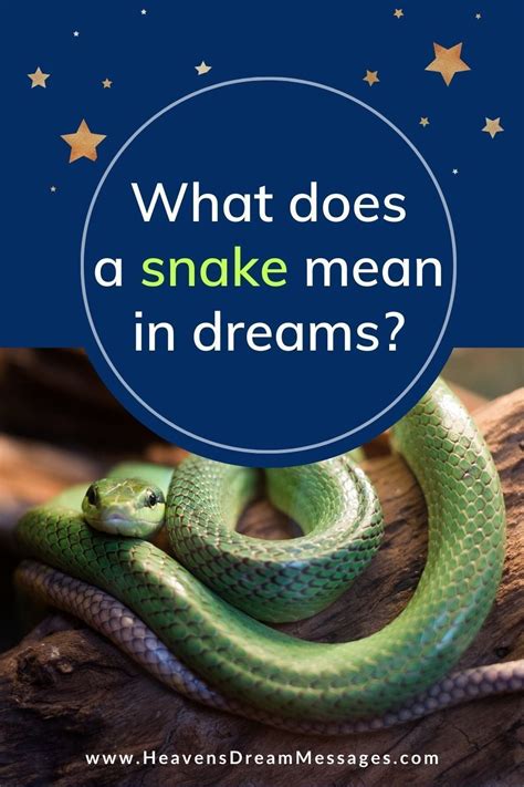 Understanding Dream Symbols: Snakes