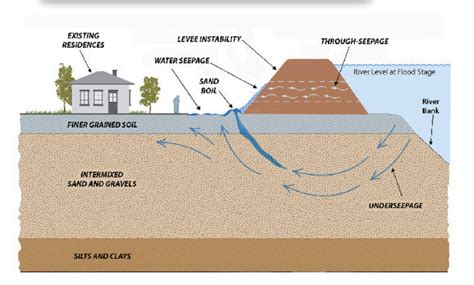 Understanding Dreams of Water Seepage