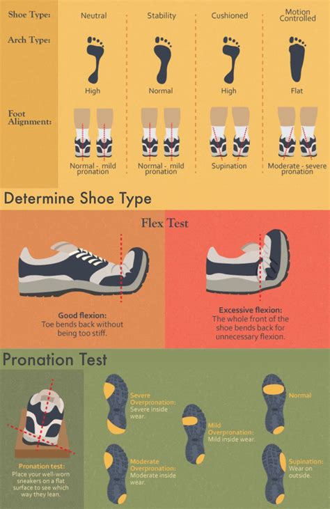 Understanding Foot Anatomy: How to Choose Shoes for Proper Support