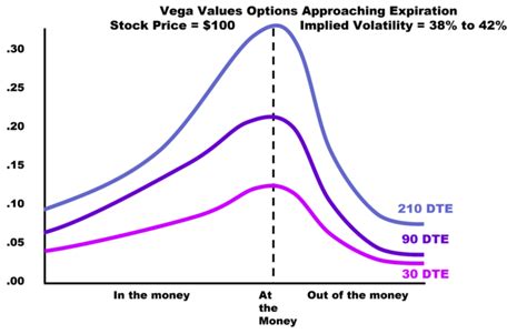 Understanding Jasmine Vega's Figure and Financial Value