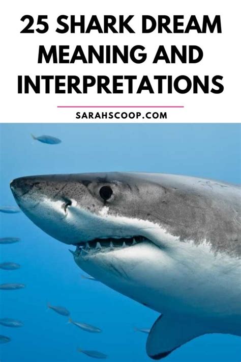 Understanding Shark Dream Meanings Across Cultures