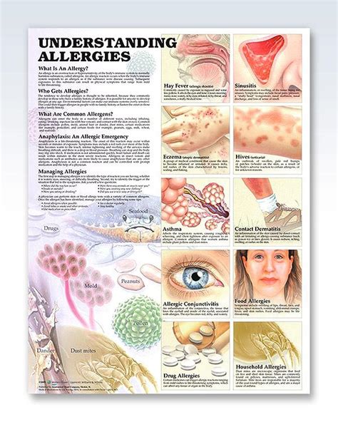 Understanding Skin Allergies