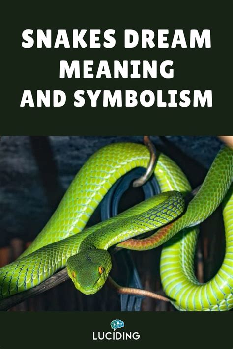 Understanding Snake Dreams in Different Cultures