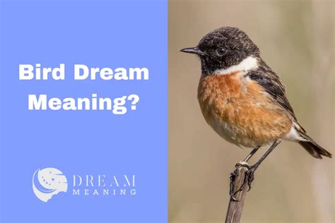 Understanding Symbolic Messages: Deciphering the Hidden Meanings behind Bird Dreams