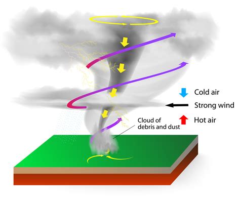 Understanding Tornadoes: Causes, Formation, and Destruction