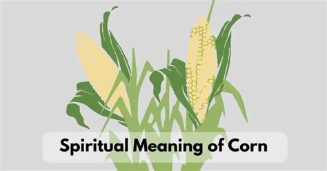 Understanding and Applying the Symbolism of Corn in Everyday Life