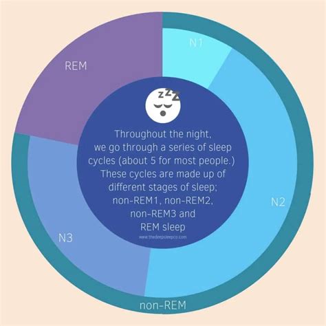 Understanding the Basics: What Are Sleep Cycles and Why Are They Vital?