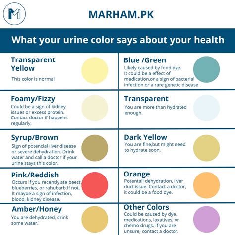 Understanding the Causes: Exploring the Medical Reasons Behind Purple Urine