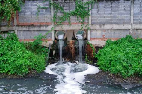 Understanding the Causes of Sewage Issues