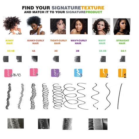 Understanding the Characteristics of Your Hair Type and Texture