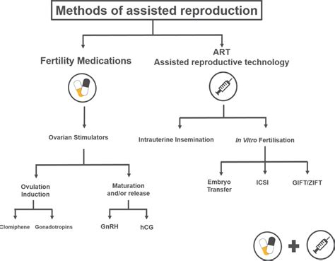 Understanding the Concept of Assisted Reproduction: Key Insights