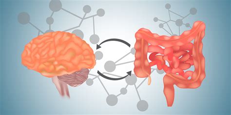 Understanding the Connection between Dreams and Gastrointestinal Issues